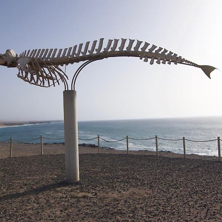 The Wind'S Breath, Perfect For Relaxing Getaway Villa La Oliva Exteriör bild