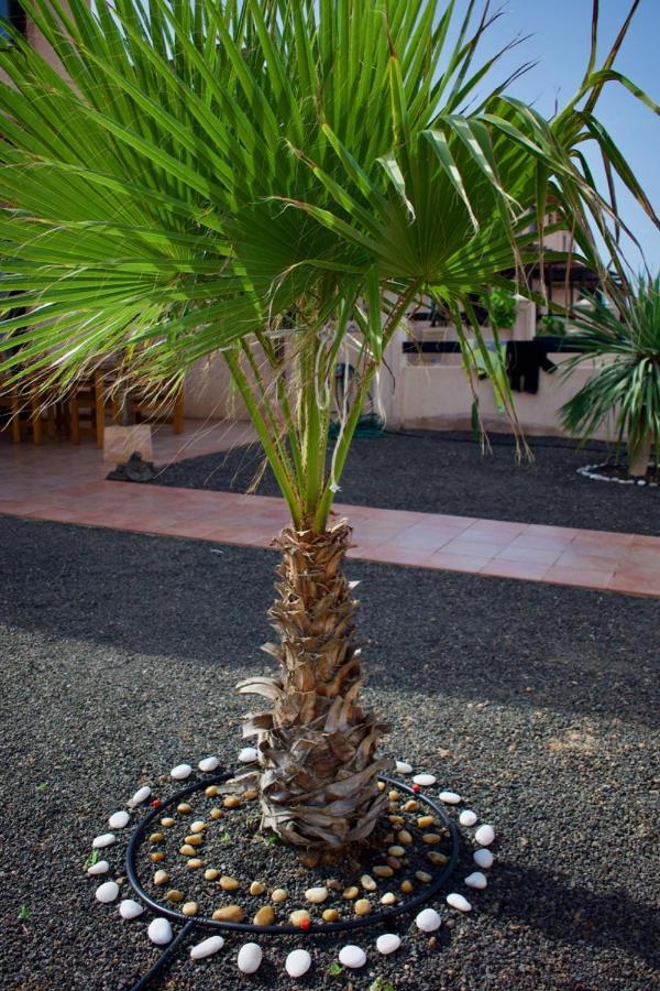 The Wind'S Breath, Perfect For Relaxing Getaway Villa La Oliva Exteriör bild